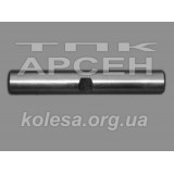 Шкворень (Україна) (120-3001019)