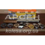 Шкворені в зборі (3110-3001120) [ГАЗ]