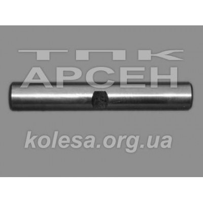 Шкворень (Україна) (120-3001019)